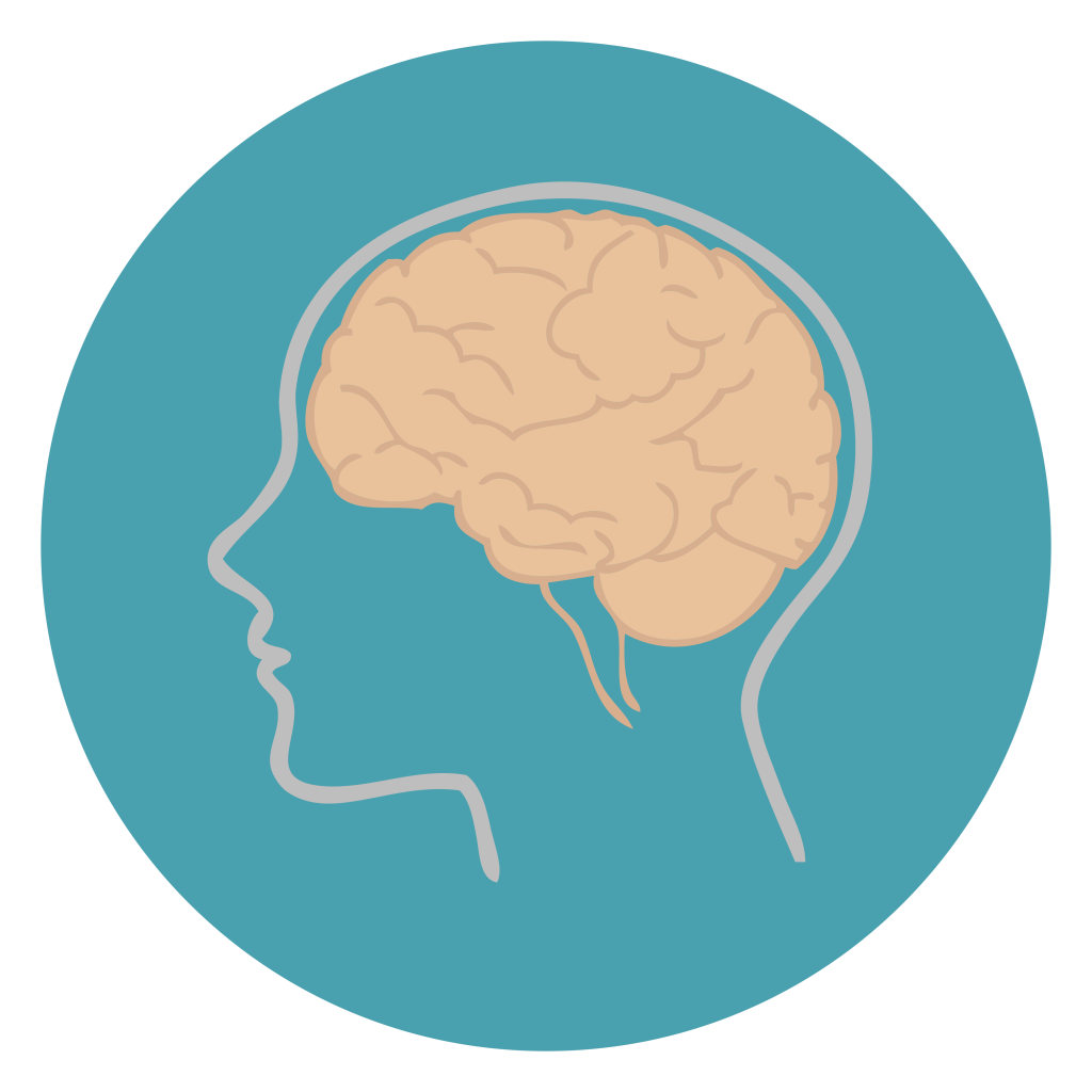 types d'accompagnement, hypnose, icone cerveau dans crane, évolution hypnose, Savoie, EMDR, Arvillard, La Rochette, Pontcharra, Allevard, Chambéry, Grenoble, Séverine Dixon